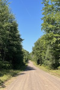 6 Acres near the National Forest