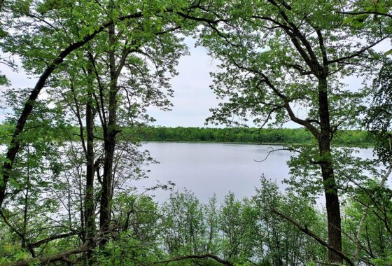 75 acres with 4,600’ of Waterfront near Turtle Lake, WI! 