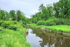 75 acres with 4,600’ of Waterfront near Turtle Lake, WI! 