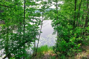 Camp or Build on 2-acres near the Nicolet National Forest!