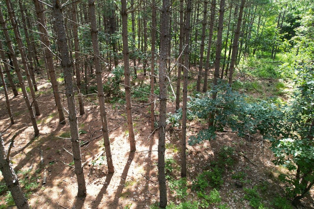 6 Acres in Central WI! Save $4k!