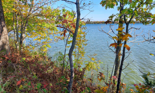 11 Acre Polk County Lakefront Property only $239,900!