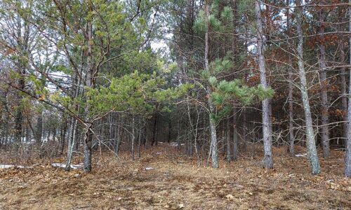 Wooded Camping/Building Acreage by Castle Rock Lake!