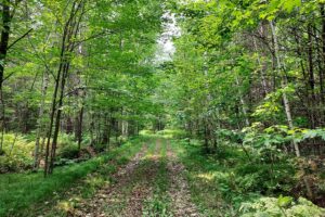 9.2 Acre Wooded Property on a Pond in Forest County