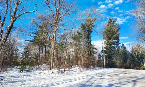 12.5-acre Wooded Land For Sale in Oneida County, WI