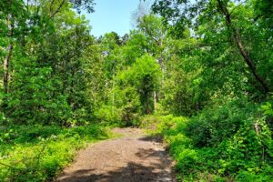 Waterfront land for sale near Sparta-Elroy bike trail