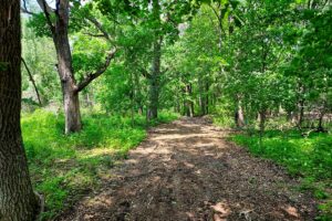 Waterfront land for sale near Sparta-Elroy bike trail