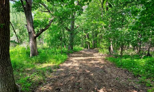 Waterfront land for sale near Sparta-Elroy bike trail