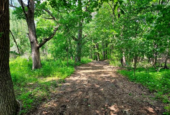 Waterfront land for sale near Sparta-Elroy bike trail