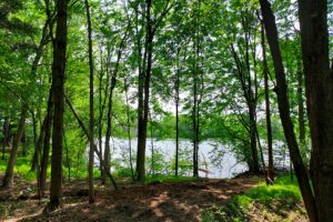 Waterfront land for sale near Sparta-Elroy bike trail