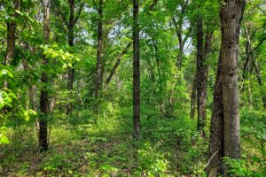 Waterfront land for sale near Sparta-Elroy bike trail