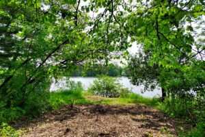 Southern Wisconsin lakefront property for sale in Monroe County