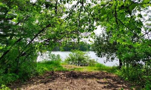 Southern Wisconsin lakefront property for sale in Monroe County