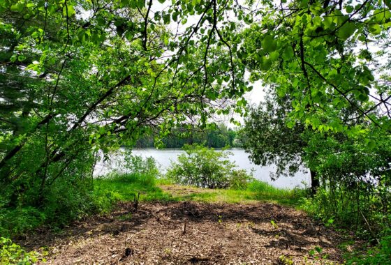 Southern Wisconsin lakefront property for sale in Monroe County