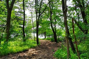 Southern Wisconsin lakefront property for sale in Monroe County