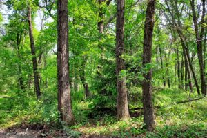 Southern Wisconsin lakefront property for sale in Monroe County