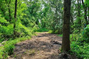Southern Wisconsin lakefront property for sale in Monroe County