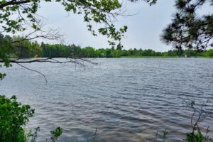 Southern Wisconsin lakefront property for sale in Monroe County