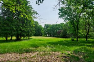 Waterfront property for sale on Angelo Pond in Sparta, WI