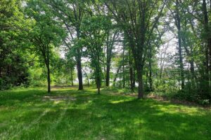 Waterfront property for sale on Angelo Pond in Sparta, WI