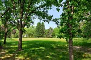 Waterfront property for sale on Angelo Pond in Sparta, WI