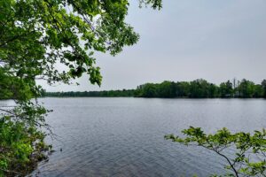 Waterfront property for sale on Angelo Pond in Sparta, WI