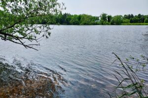 Waterfront property for sale on Angelo Pond in Sparta, WI