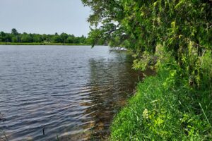 Waterfront property for sale on Angelo Pond in Sparta, WI