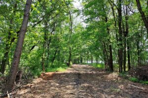 Lakefront property for sale near Sparta, WI