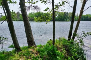 Lakefront property for sale near Sparta, WI