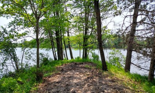 Lakefront property for sale near Sparta, WI