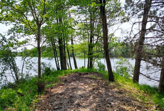 Lakefront property for sale near Sparta, WI