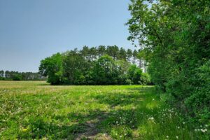 Lakefront property for sale near Sparta, WI