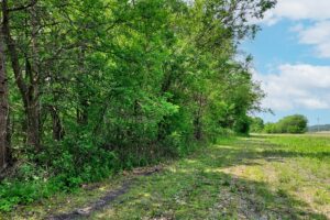 Lakefront property for sale near Sparta, WI