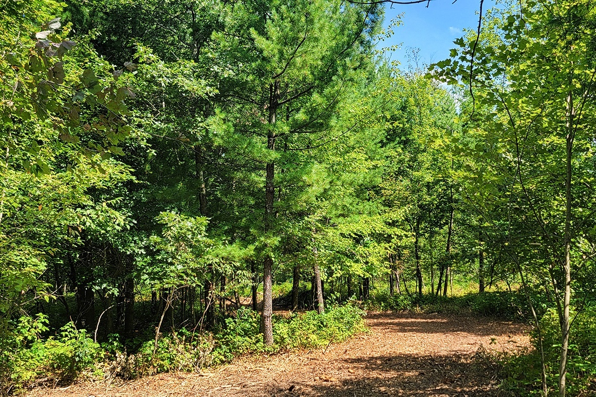 2-Day Dunn County, WI Land Sale! Save up to $13,000 on October 26 and 27!