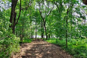 Waterfront land for sale in Monroe County, WI