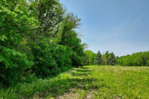 Waterfront land for sale in Monroe County, WI