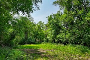 Waterfront land for sale in Monroe County, WI