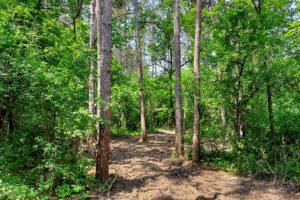 Waterfront land for sale in Monroe County, WI