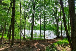 Waterfront land for sale in Monroe County, WI