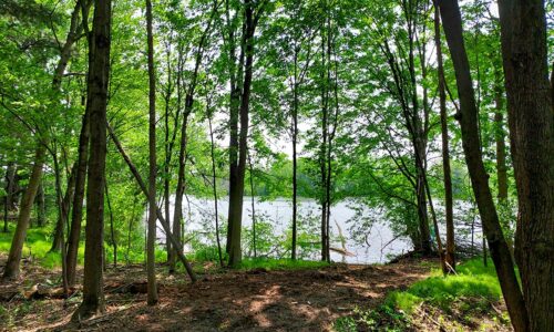 Waterfront land for sale in Monroe County, WI