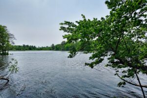 Waterfront land for sale in Monroe County, WI
