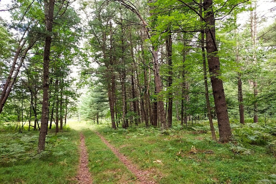Land for sale in Marinette County near Crivitz, WI