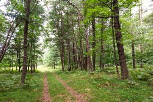 Land for sale in Marinette County near Crivitz, WI