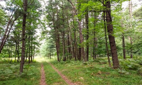 Land for sale in Marinette County near Crivitz, WI