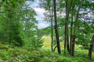 Land for sale in Marinette County near Crivitz, WI