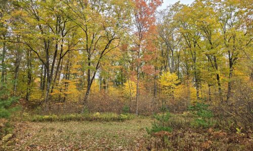 Secluded land for sale near Amberg, WI