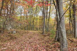Secluded land for sale near Amberg, WI