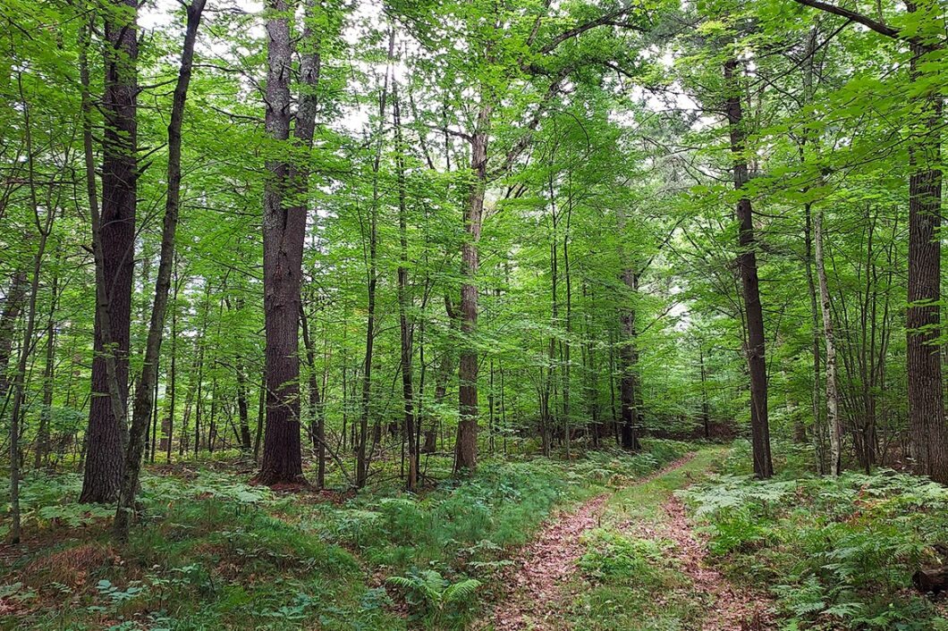 Northeast Wisconsin land for sale
