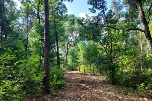 Wisconsin land for sale near Roche-A-Cri State Park